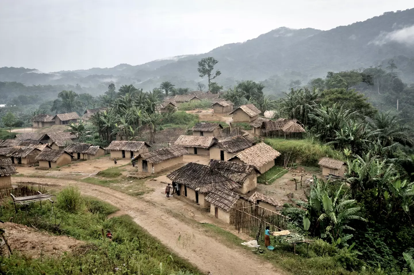 The WHO warned that 'urgent action is needed' (Getty Stock Image)