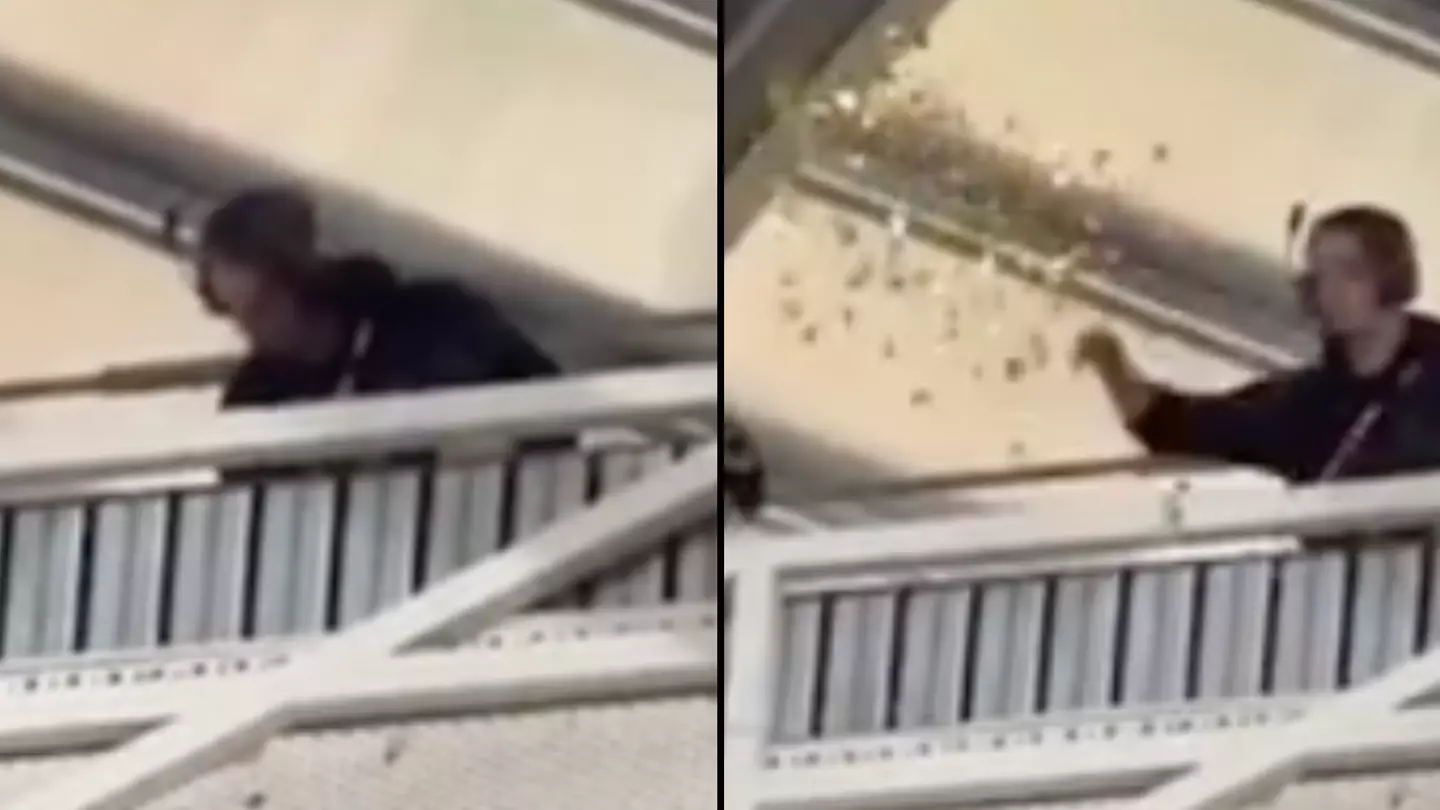 Instagram/@sportbibleaustralia