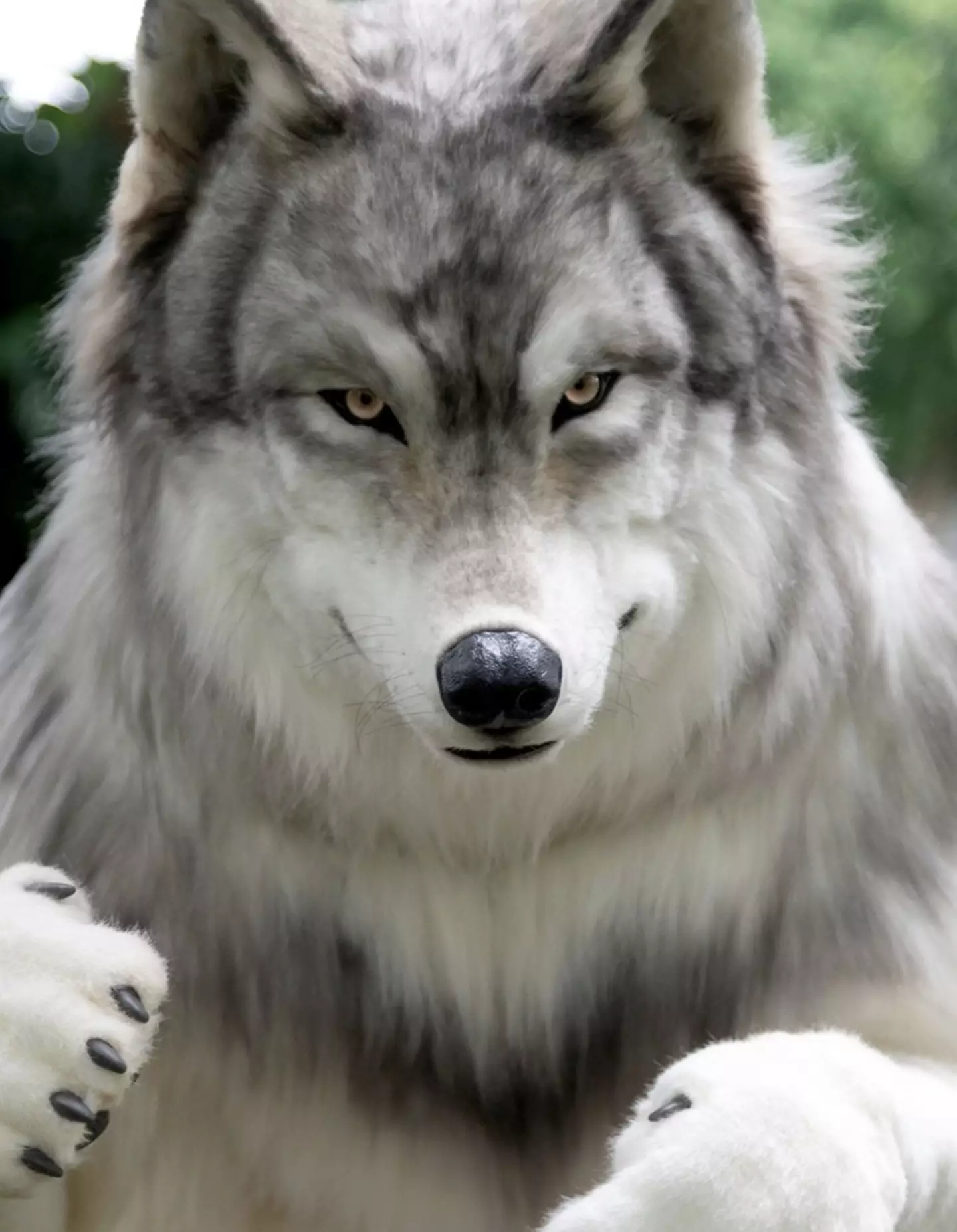 The company behind the creation has seen an increase in demand for its custom suits.