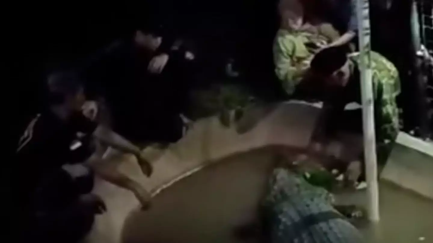 Terrifying moment crocodile snatches grandfather and drags him into water at theme park