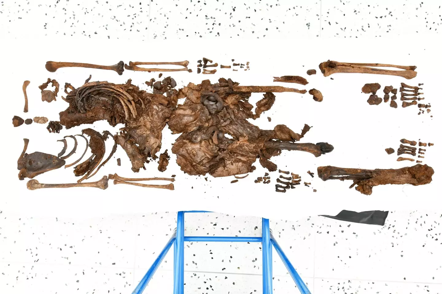 The remains after being recovered (PSNI)