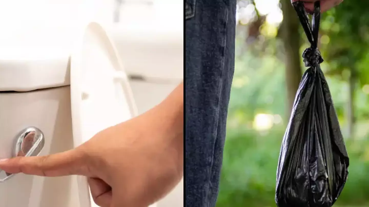 Vet issued warning to anyone that flushes their pet's poo down the toilet