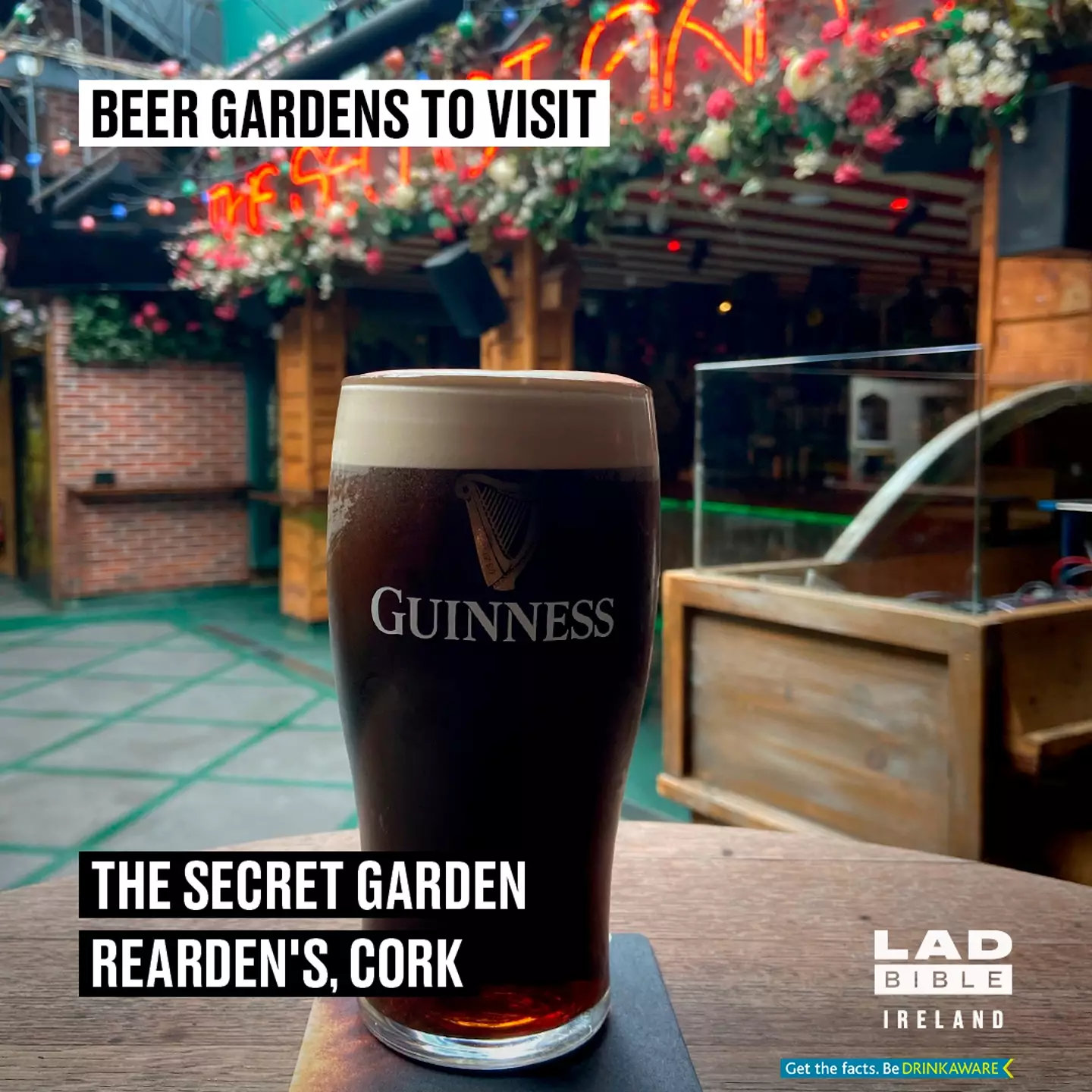 The Secret Garden In Reardons, Cork. 