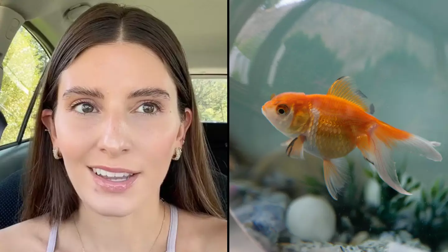 People concerned after woman shares theory about us having ‘goldfish brain’