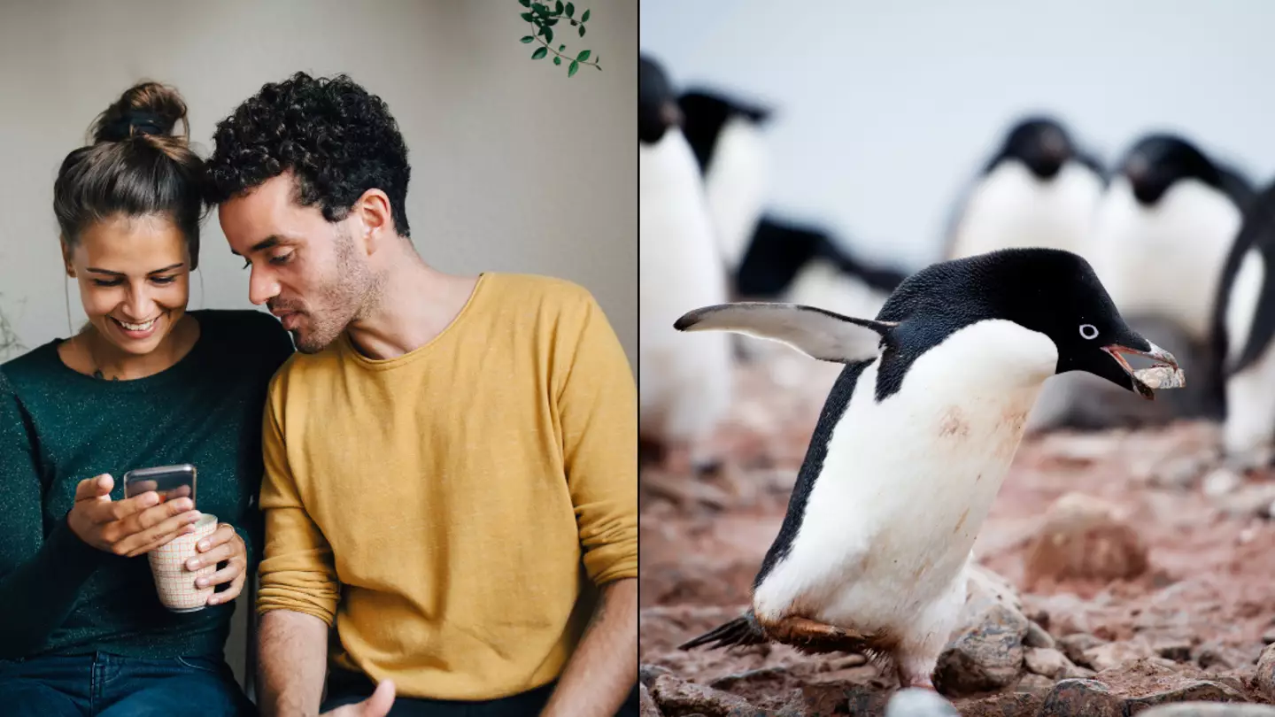 Psychologist explains how new 'pebbling' dating trend could have huge effect on your relationship