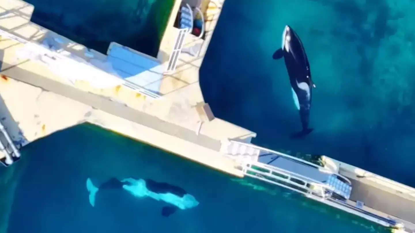 Instagram/@‌wearetidebreakers