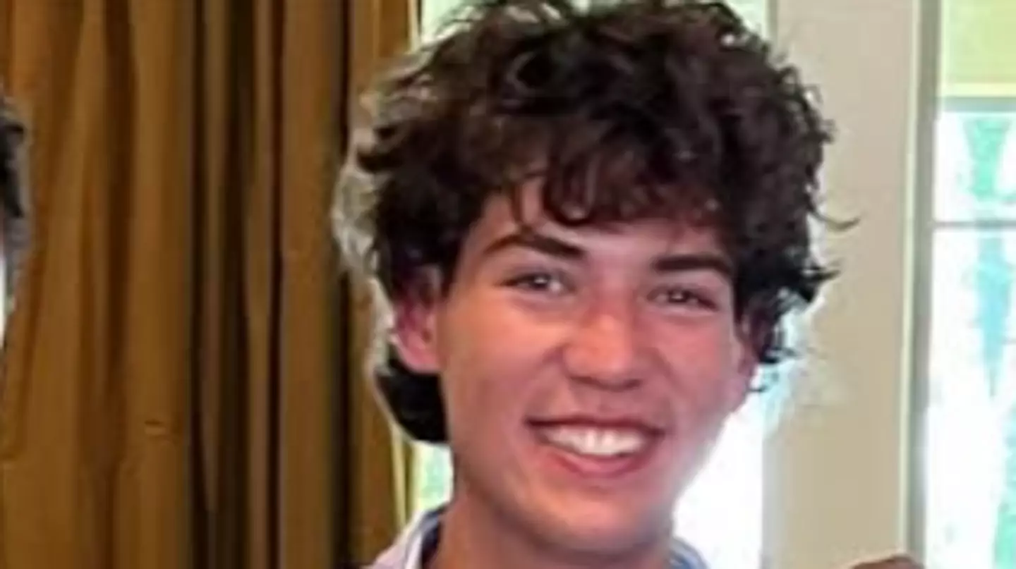 18-year-old student went missing after jumping off cruise into 'shark-infested water' as part of 'dare'