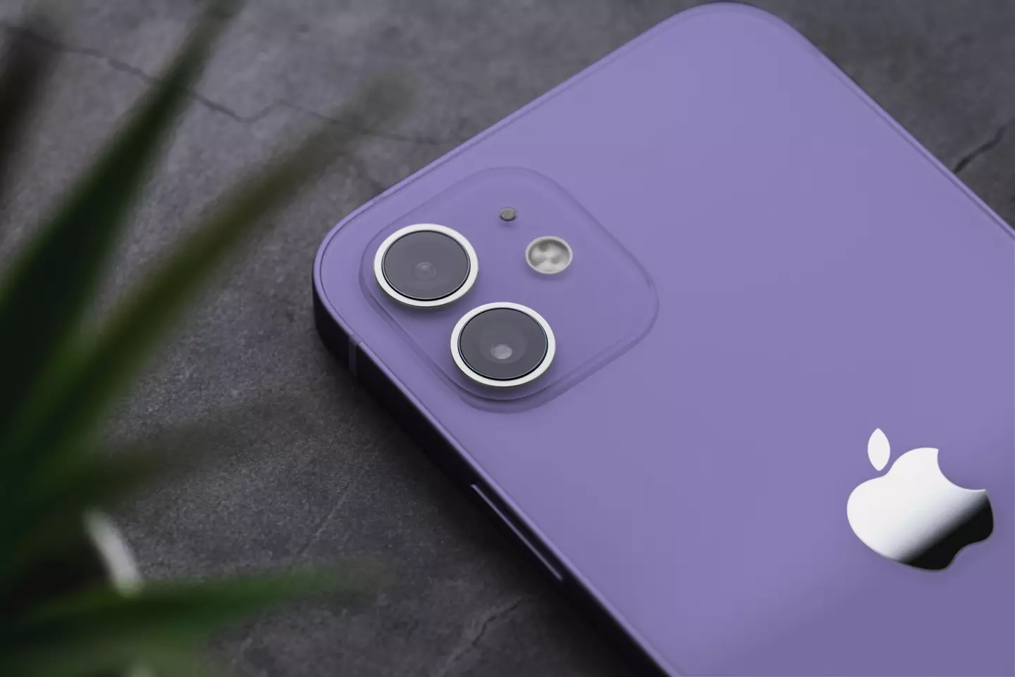 iPhones and other smart phones do need to be cleaned out occasionally.