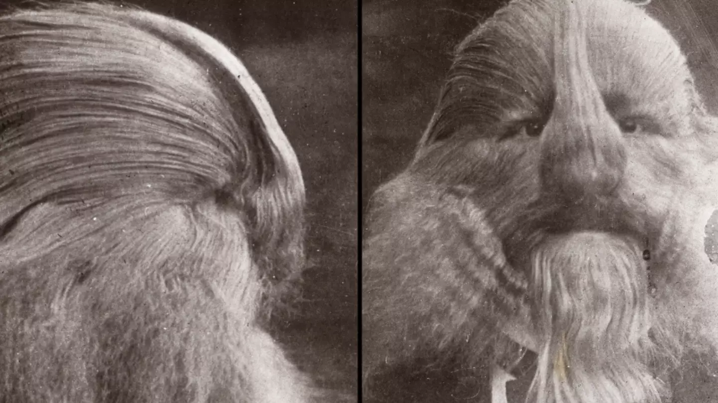 adoc-photos/Corbis via Getty Images