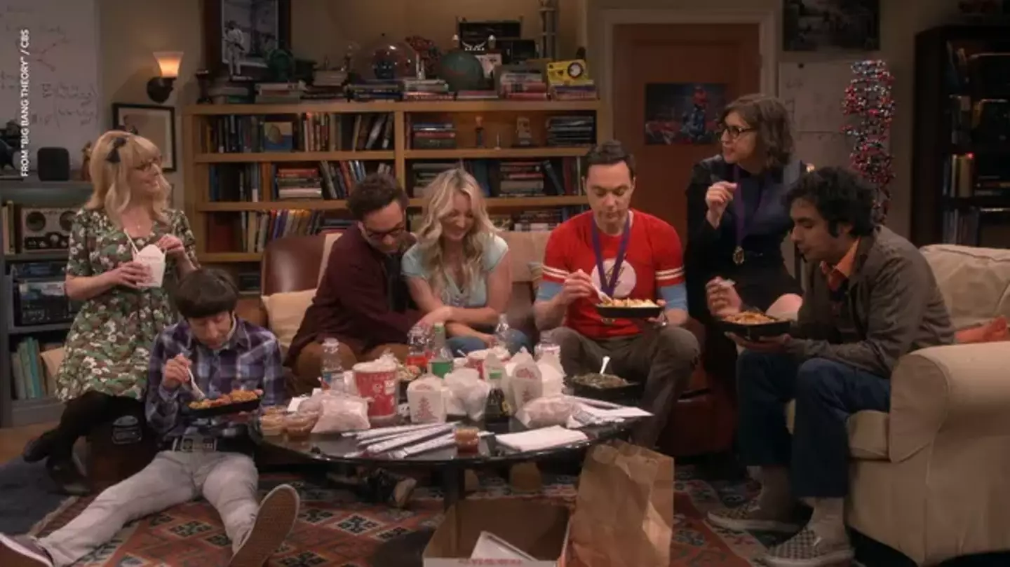 The cast of the Big Bang Theory.