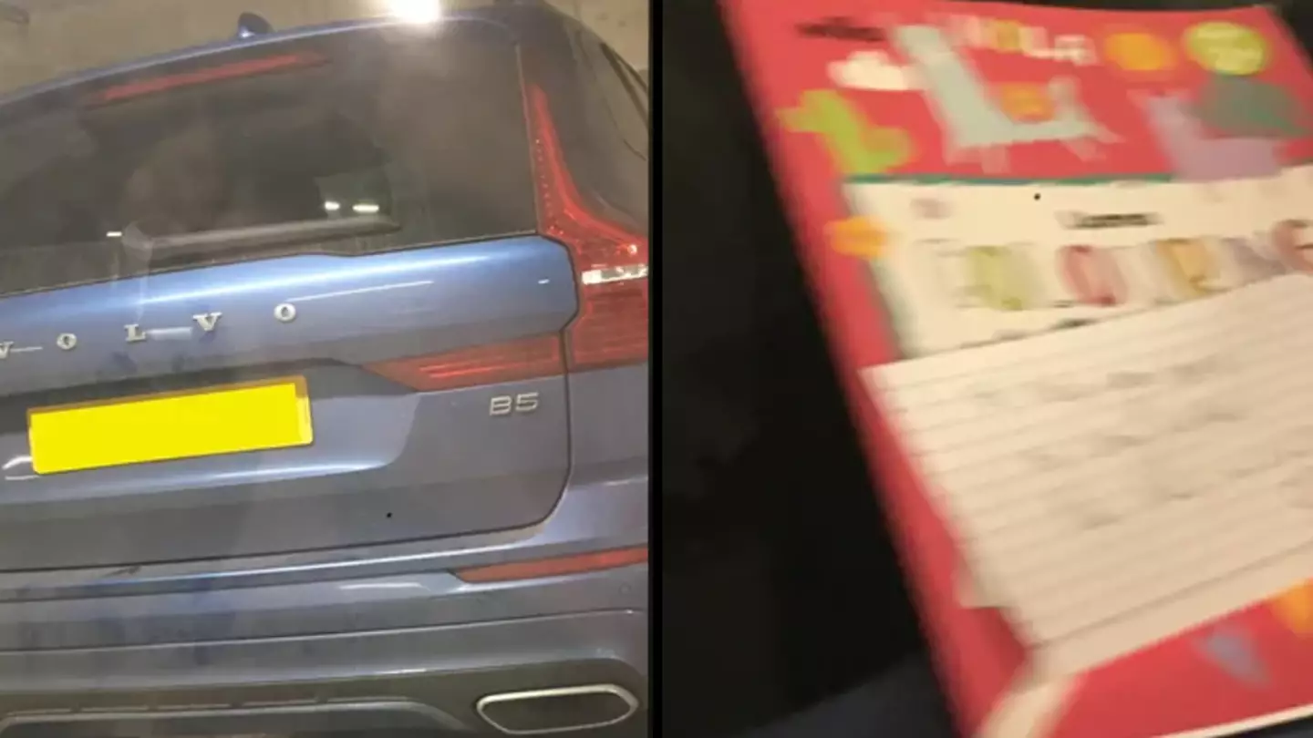 Man applauded for his 'petty' revenge against driver who parked across two spaces