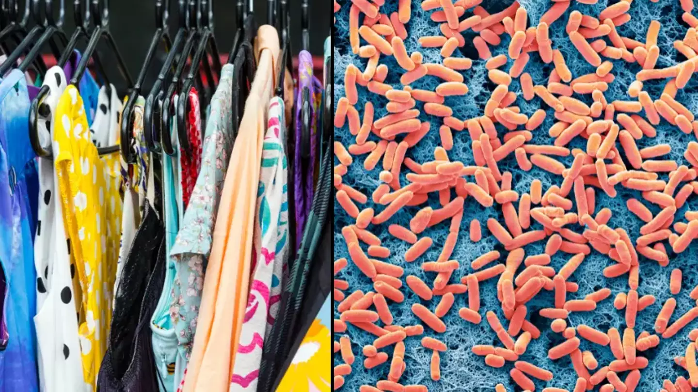 Second-hand clothes shoppers given huge warning by scientists over vintage items ‘swimming in germs’