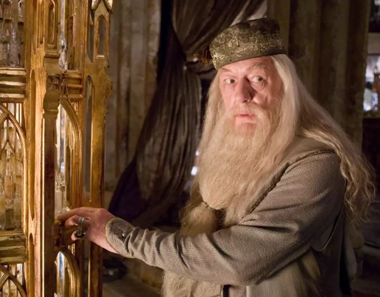 Albus Dumbledore was previously played by British actors Michael Gambon and Richard Harris (Warner Bros)