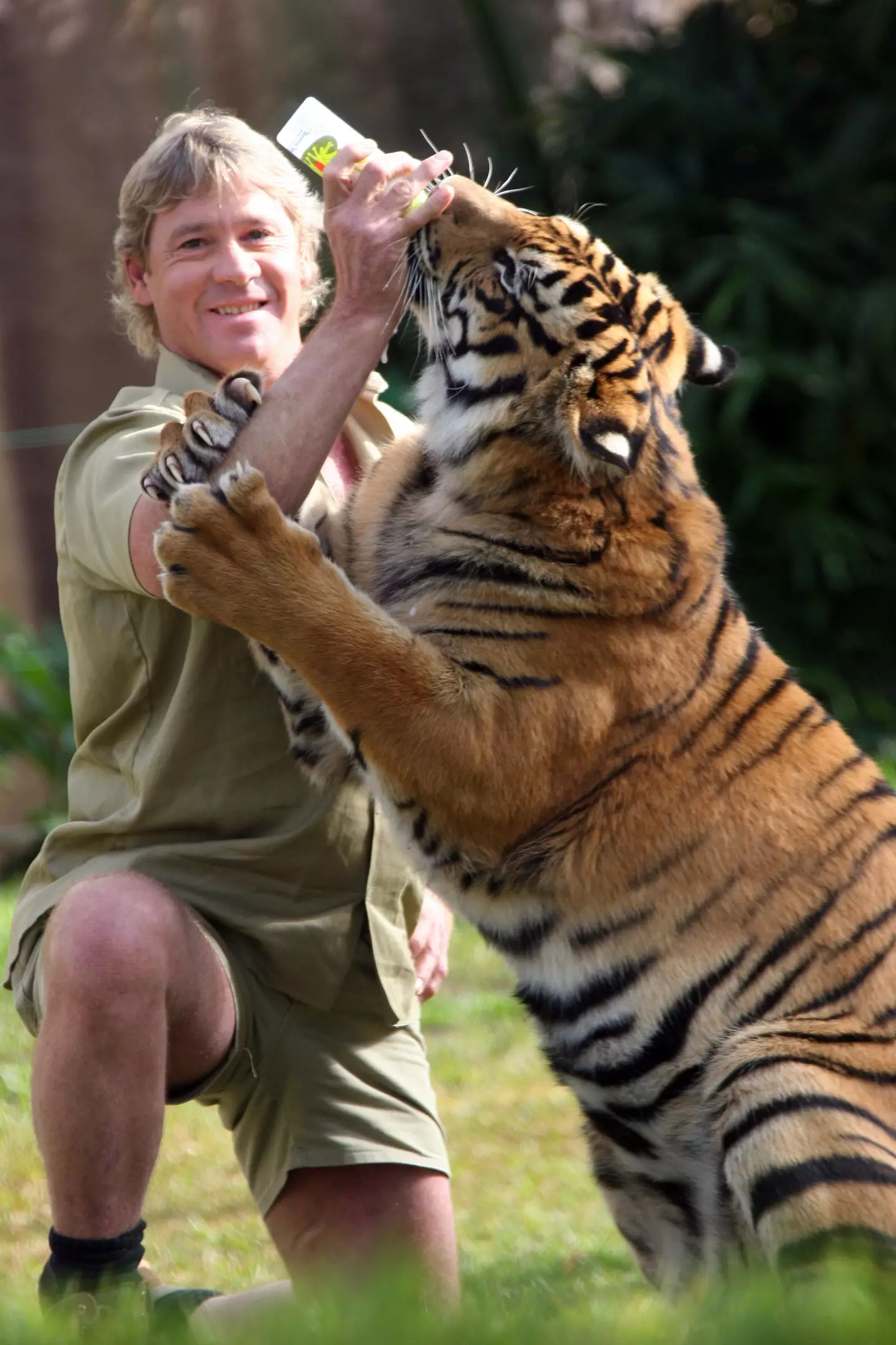 Today marks Steve Irwin Day. (Australia Zoo via Getty Images)