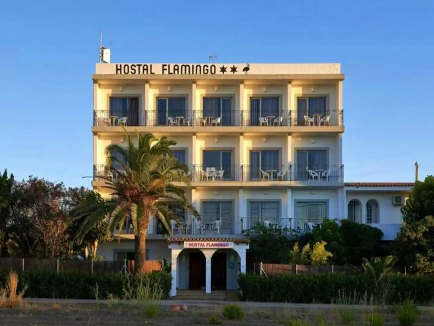 Sunbathe in the day, party at night in Ibiza (Hostelworld.com)