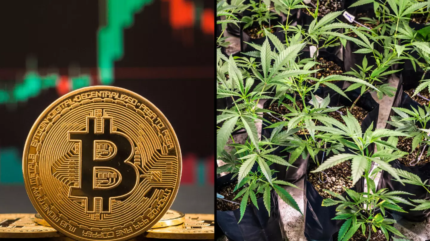 Bitcoin Price Hits $42,069 On 4/20