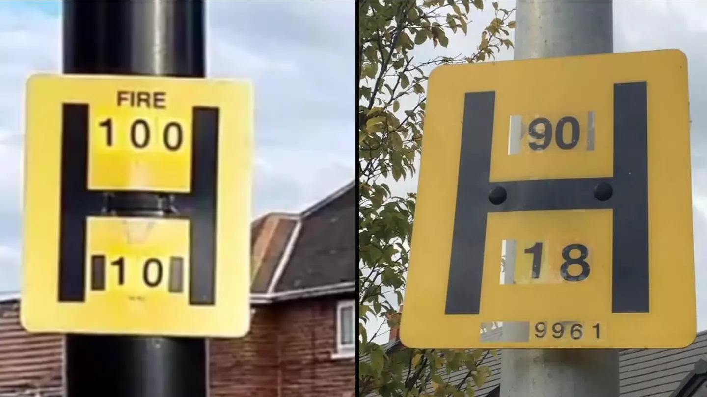 People have only just found out what the H on lampposts means