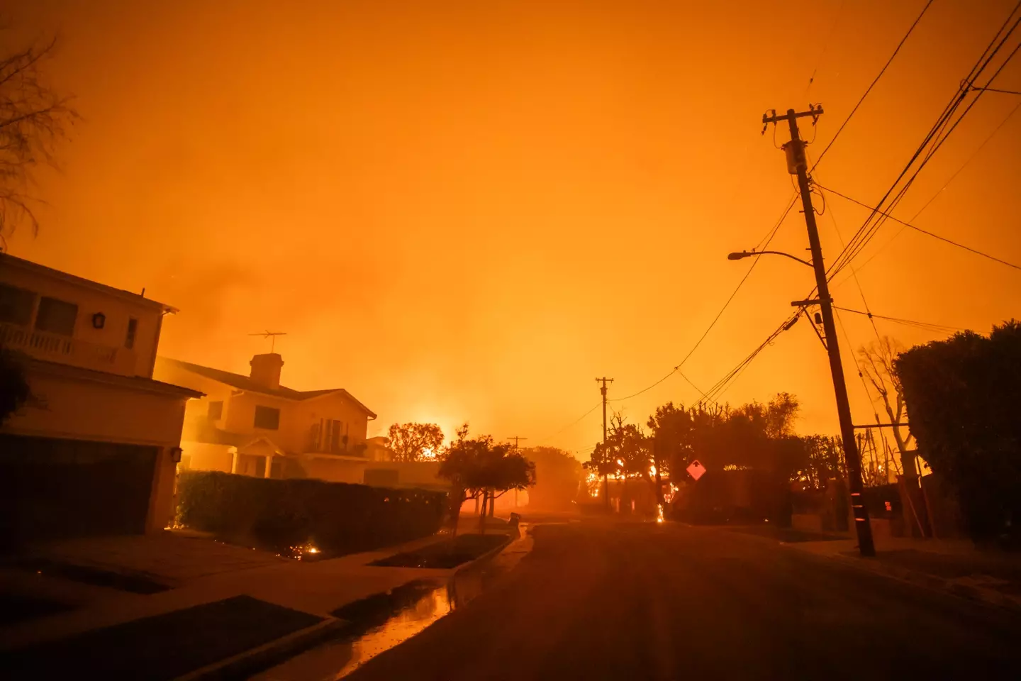 Strong winds and dry conditions mean the fires spread rapidly. (Apu Gomes/Getty Images)