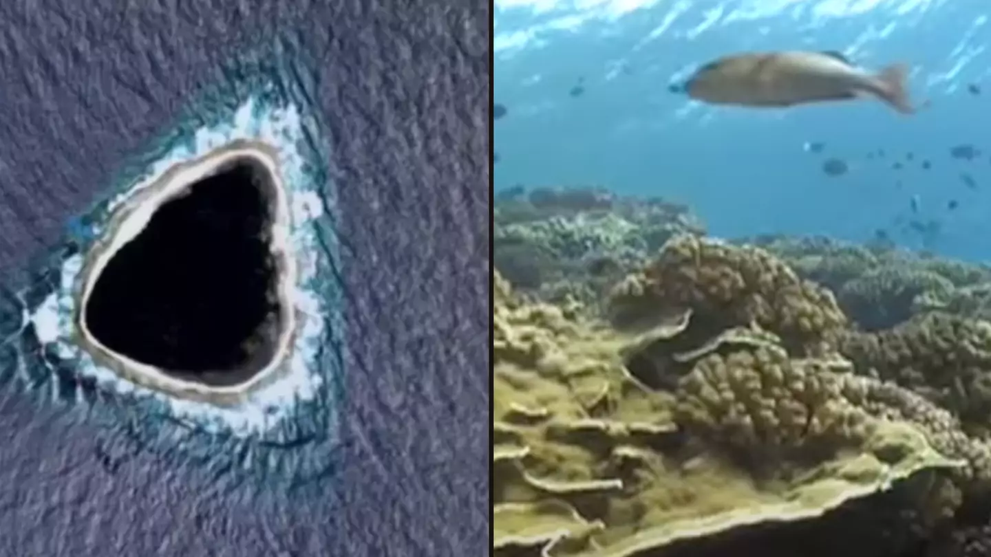 Diver shares incredible reality of hollow island completely blacked out on Google Maps
