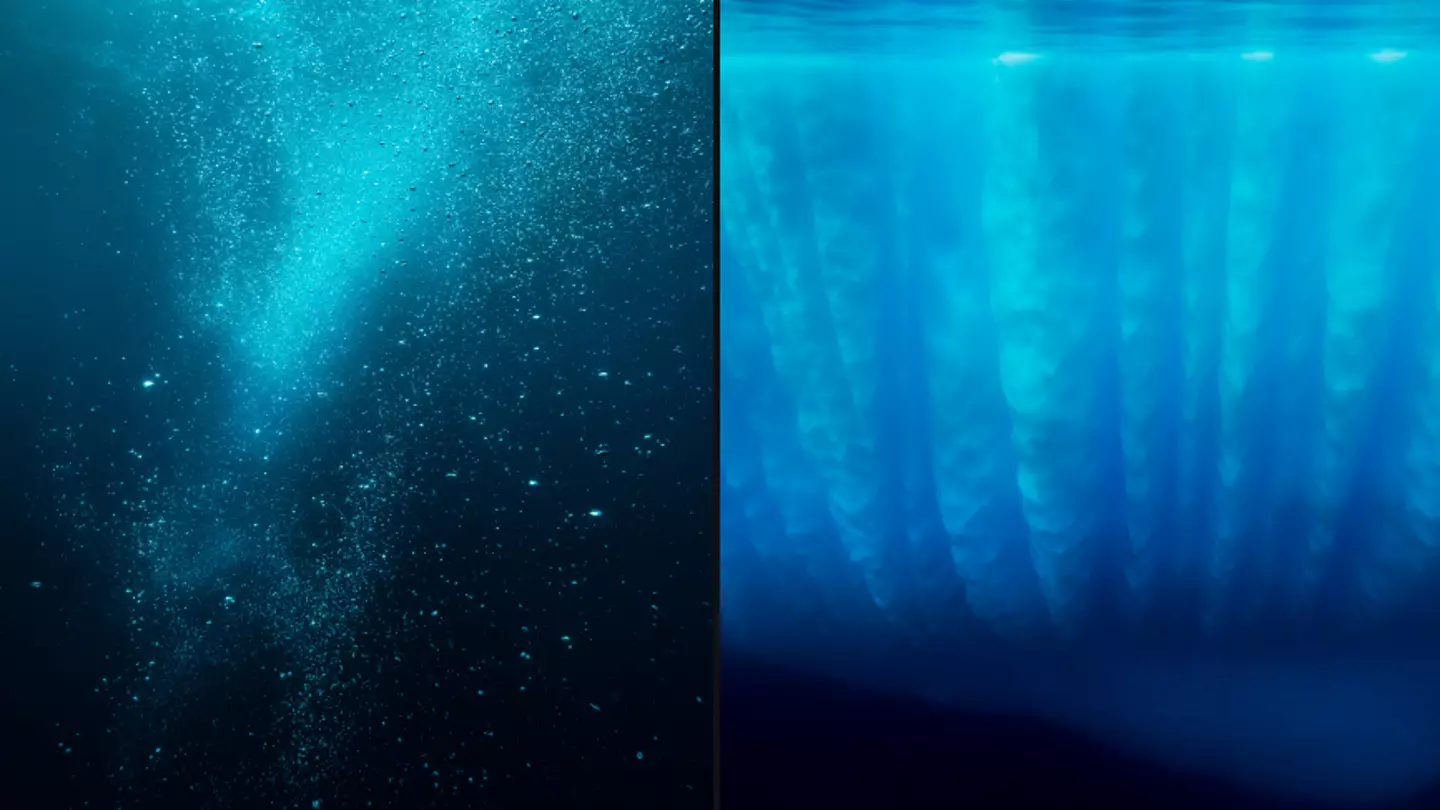 Scientists finally found answer to what the 'most mysterious underwater sound' is after more than 20 years
