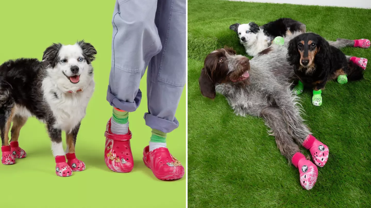 You can now buy matching Crocs for your dog