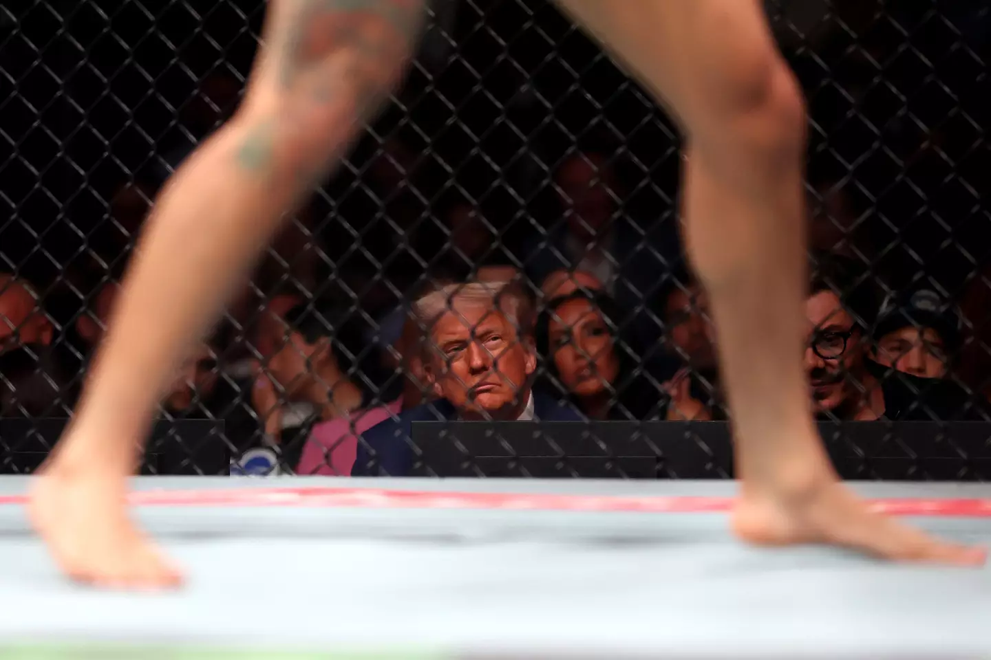 The controversial UFC event announced by Trump is part of the celebrations for America's 250th birthday next year (Elsa/Getty Images)