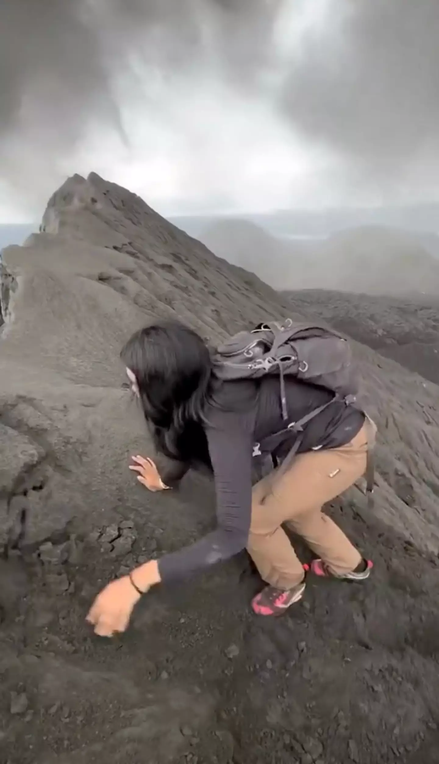 Social media users were left stunned by the woman's antics (X/@volcaholic1)