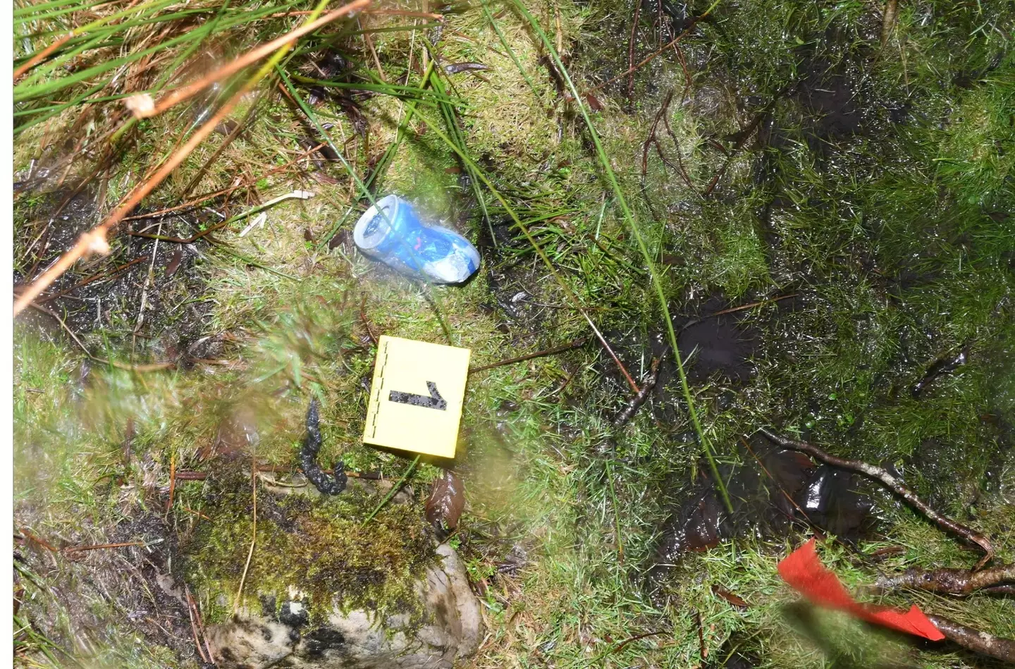 A can of Red Bull marked where the 63-year-old had been buried.