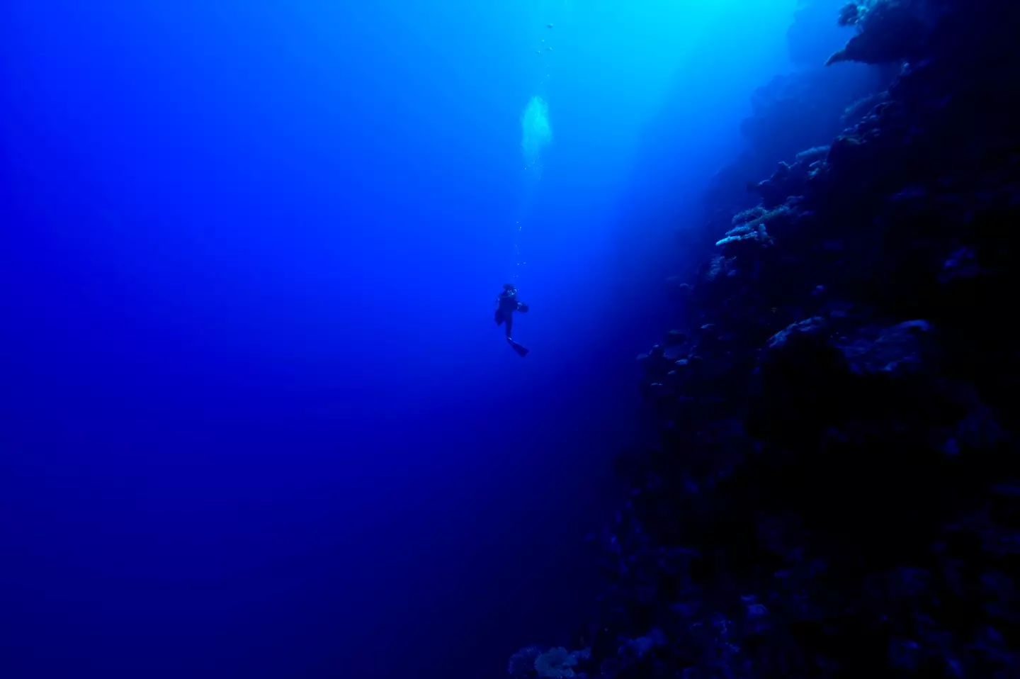 It's a completely different world down there... (Getty Stock Images)