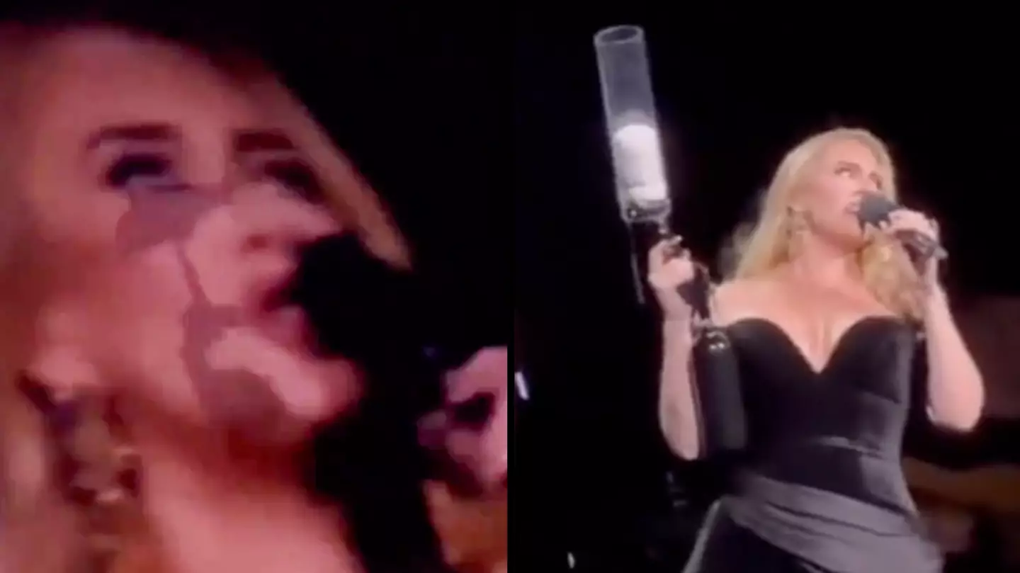 Adele stops live show to slam people who pelt artists with objects during performances
