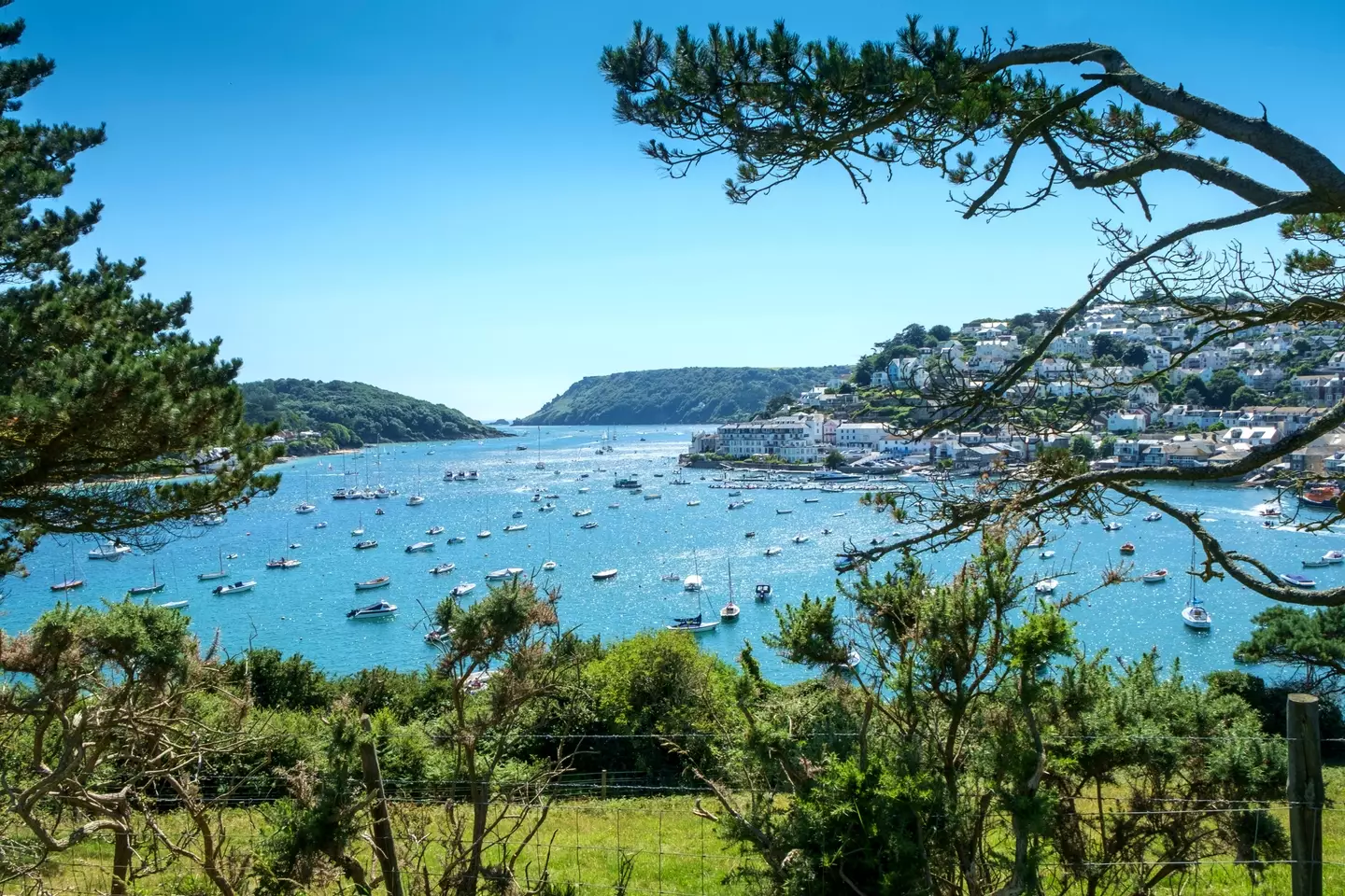 View of Kingsbridge Estuary and Salcombe from Snapes Point.
