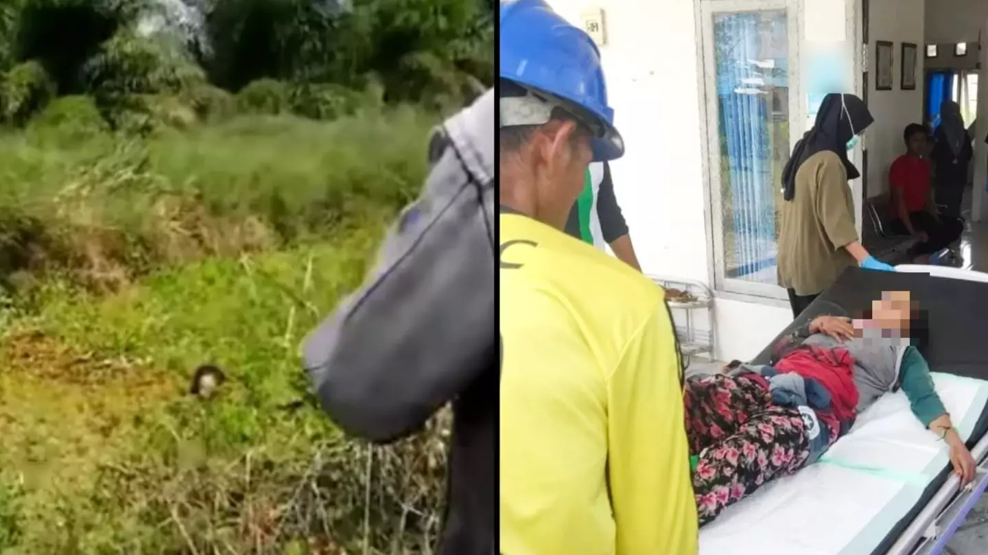 Woman dragged into swamp and attacked by crocodile for 90 minutes miraculously rescued