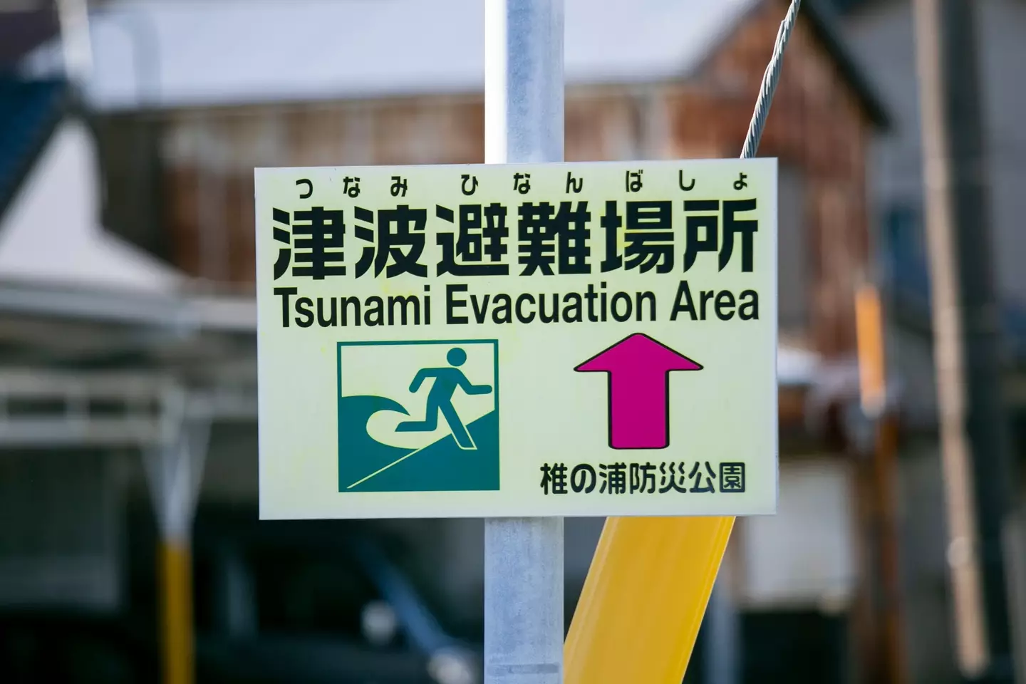 The warning suggests a major earthquake and even tsunami (Getty Stock Images)