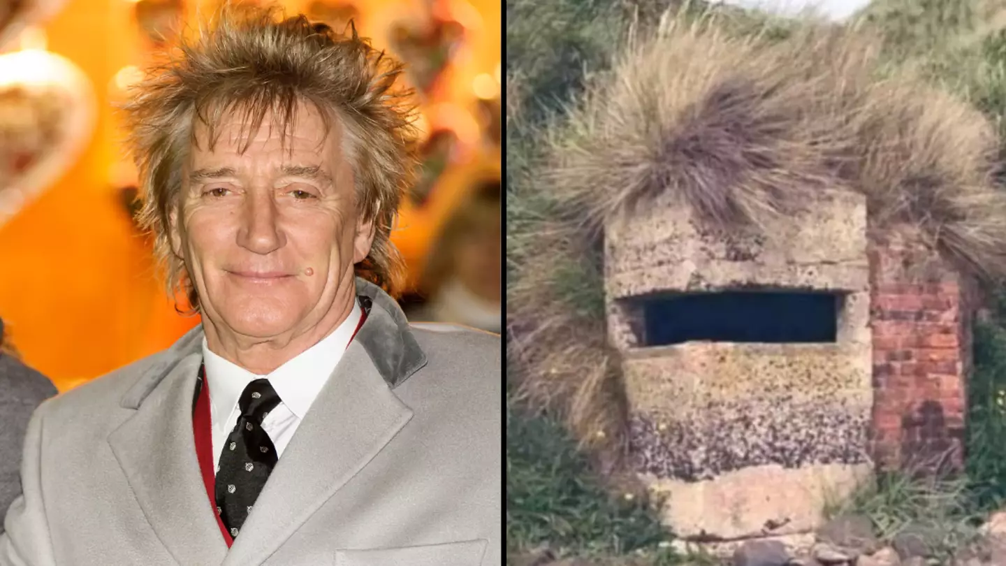 Rod Stewart hilariously responds to meme of bunker that looks just like him