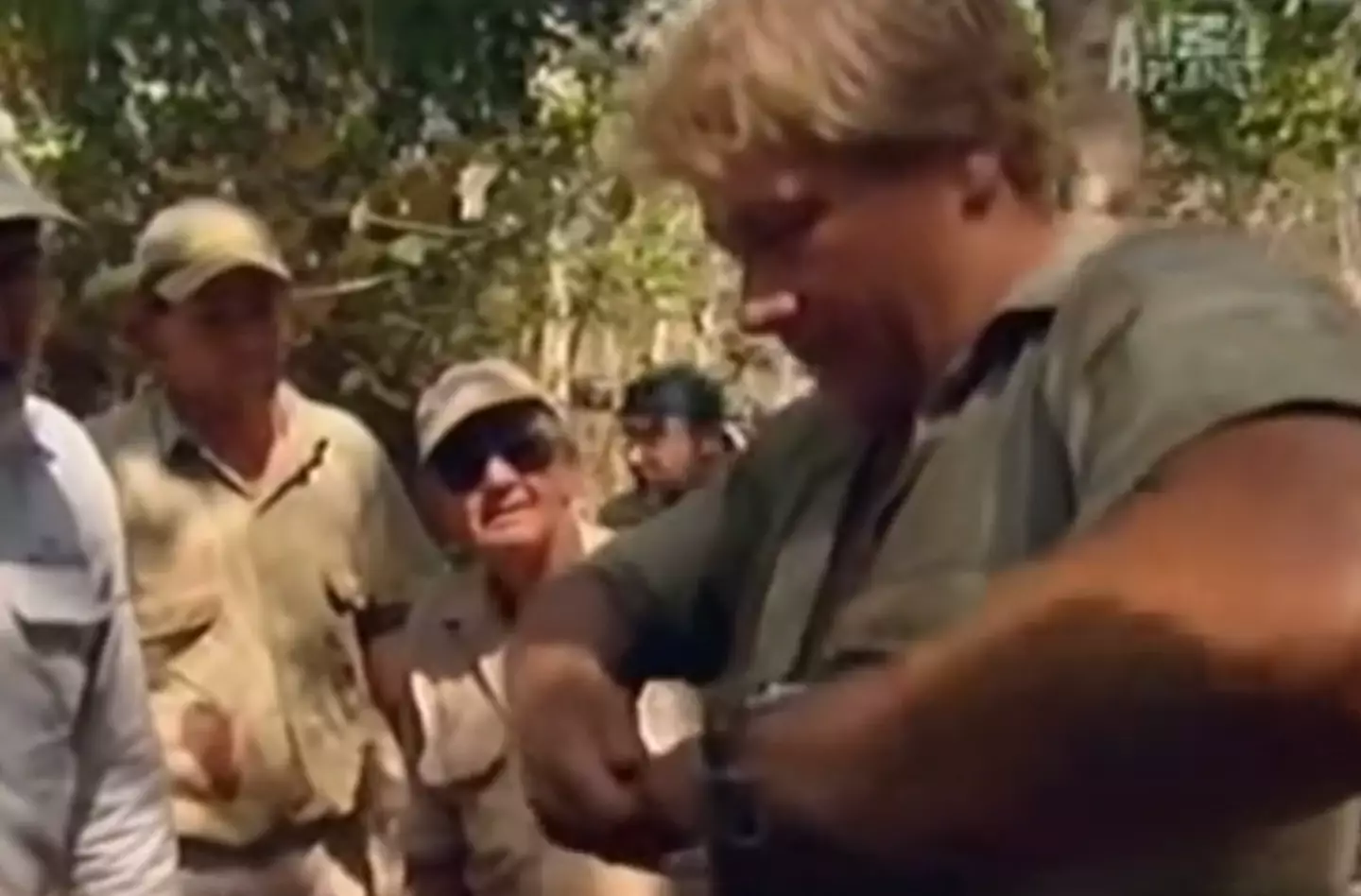 Steve Irwin broke his finger during filming.