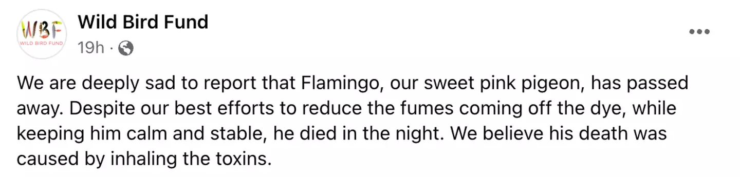 Wild Bird Fund announced Flamingo's death on Tuesday, 7 February.