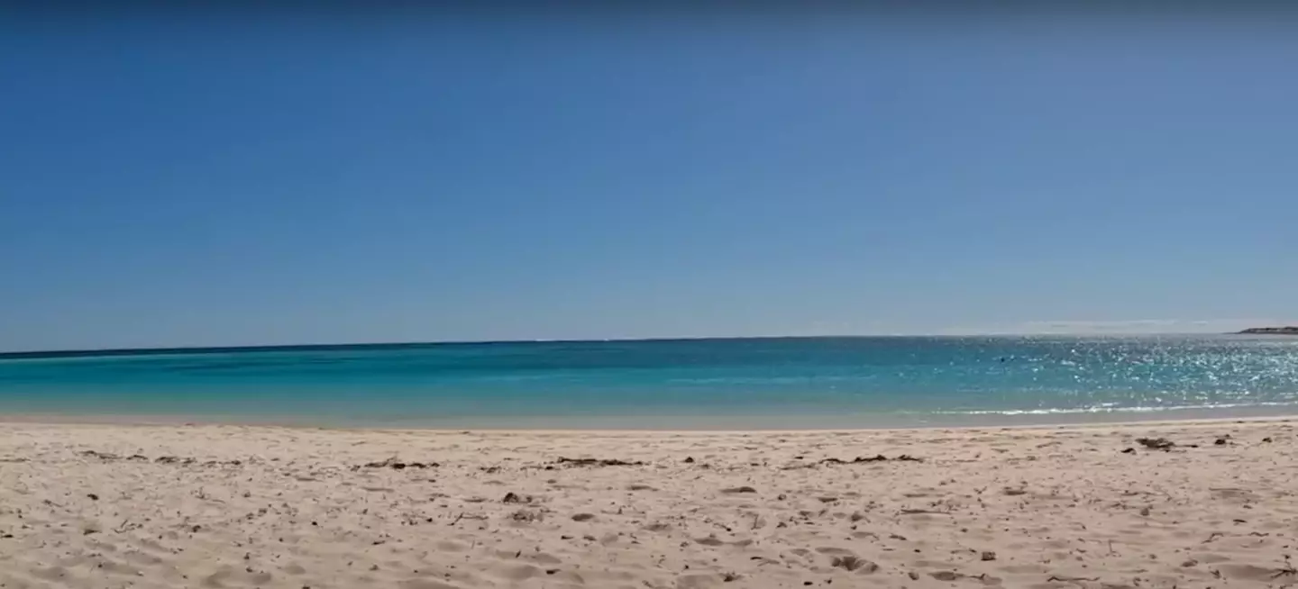 The attack happened at a beach in Western Australia.