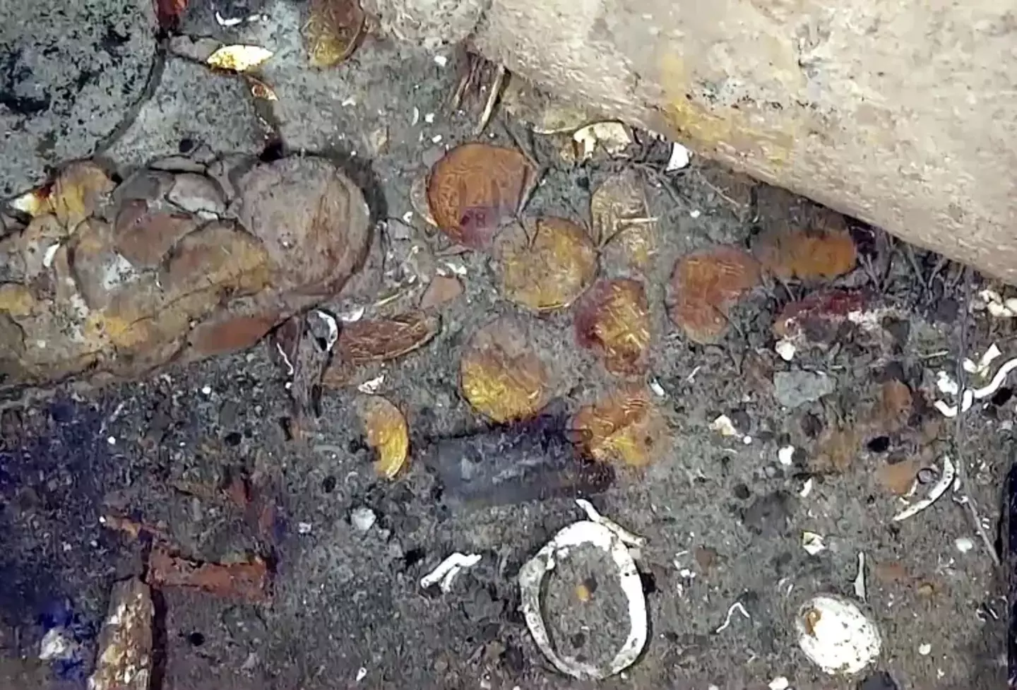 Gold coins are scattered among the wreck.