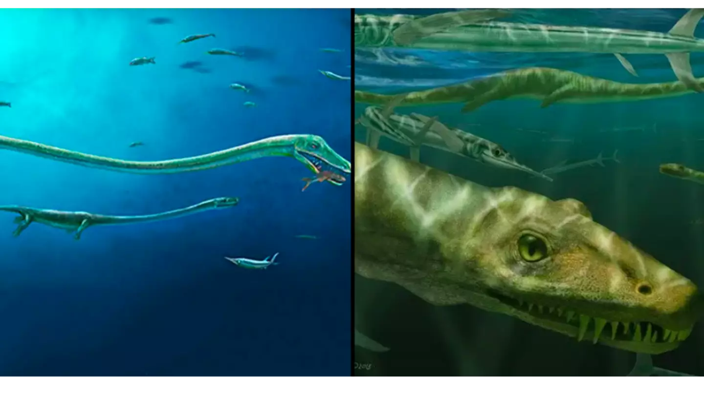 Scientists baffled after discovering bizarre 240 million year-old ‘dragon’