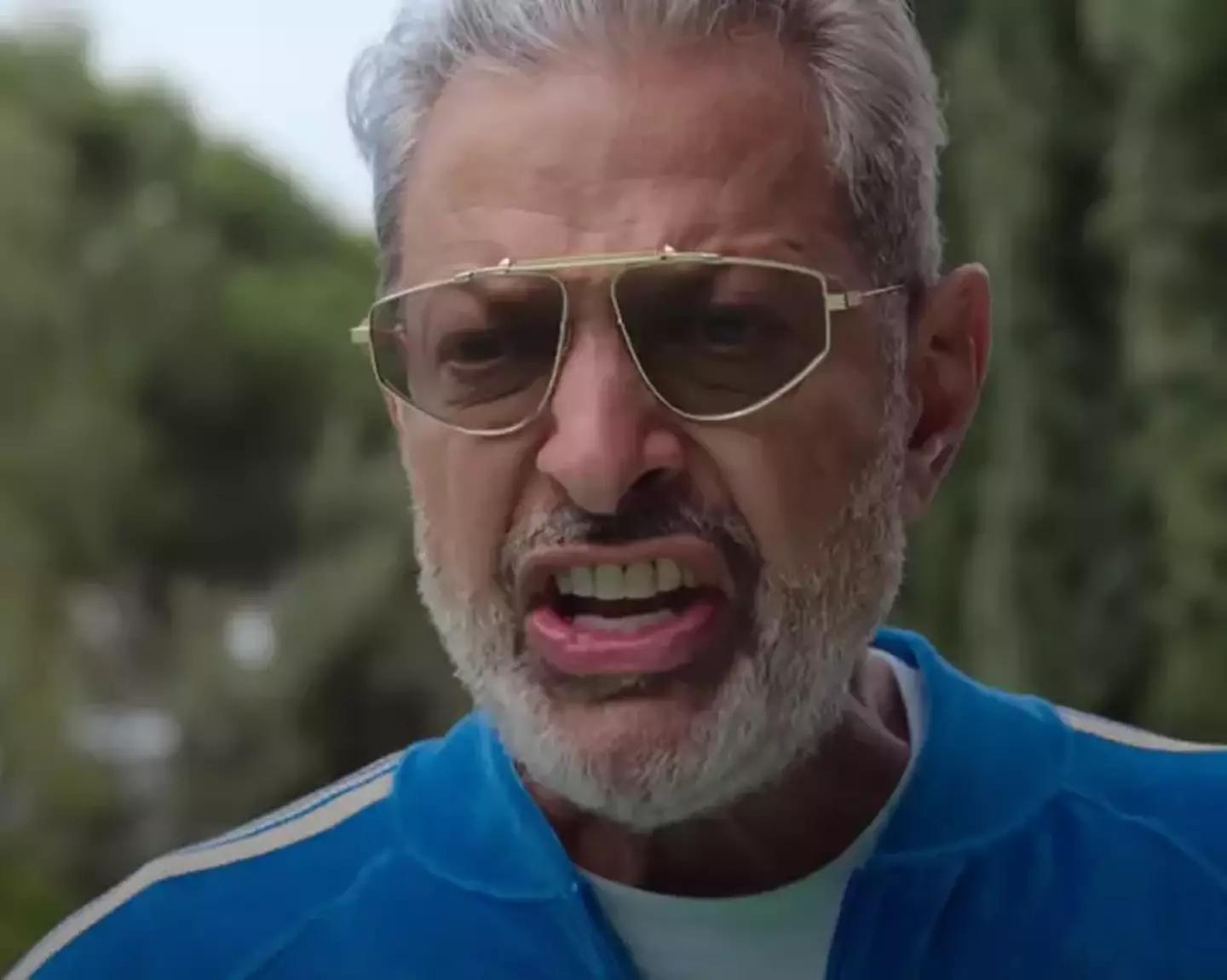 We see a new version of Jeff Goldblum (Netflix)