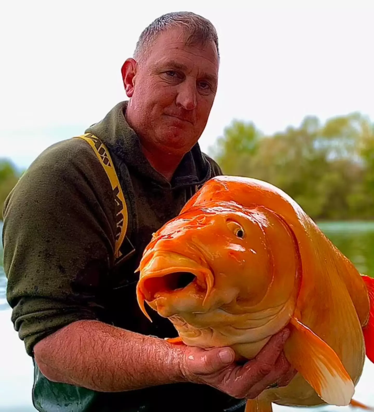 The fish is called The Carrot.