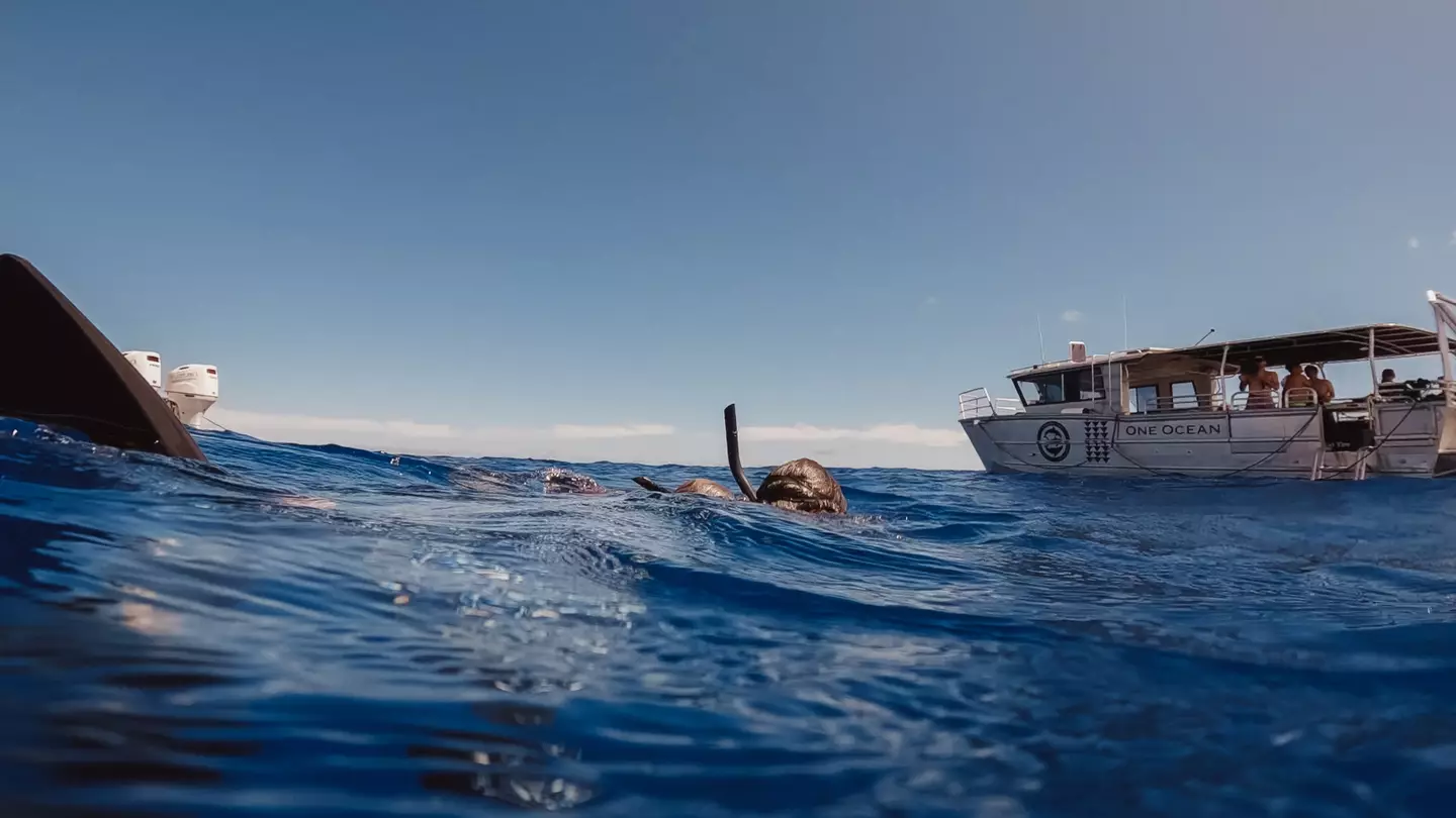 While on a diving trip 'a long time ago' Ocean was stunned after the boat operator allowed a diver to jump in the water where they were just feeding lemon sharks (Juan Oliphant)