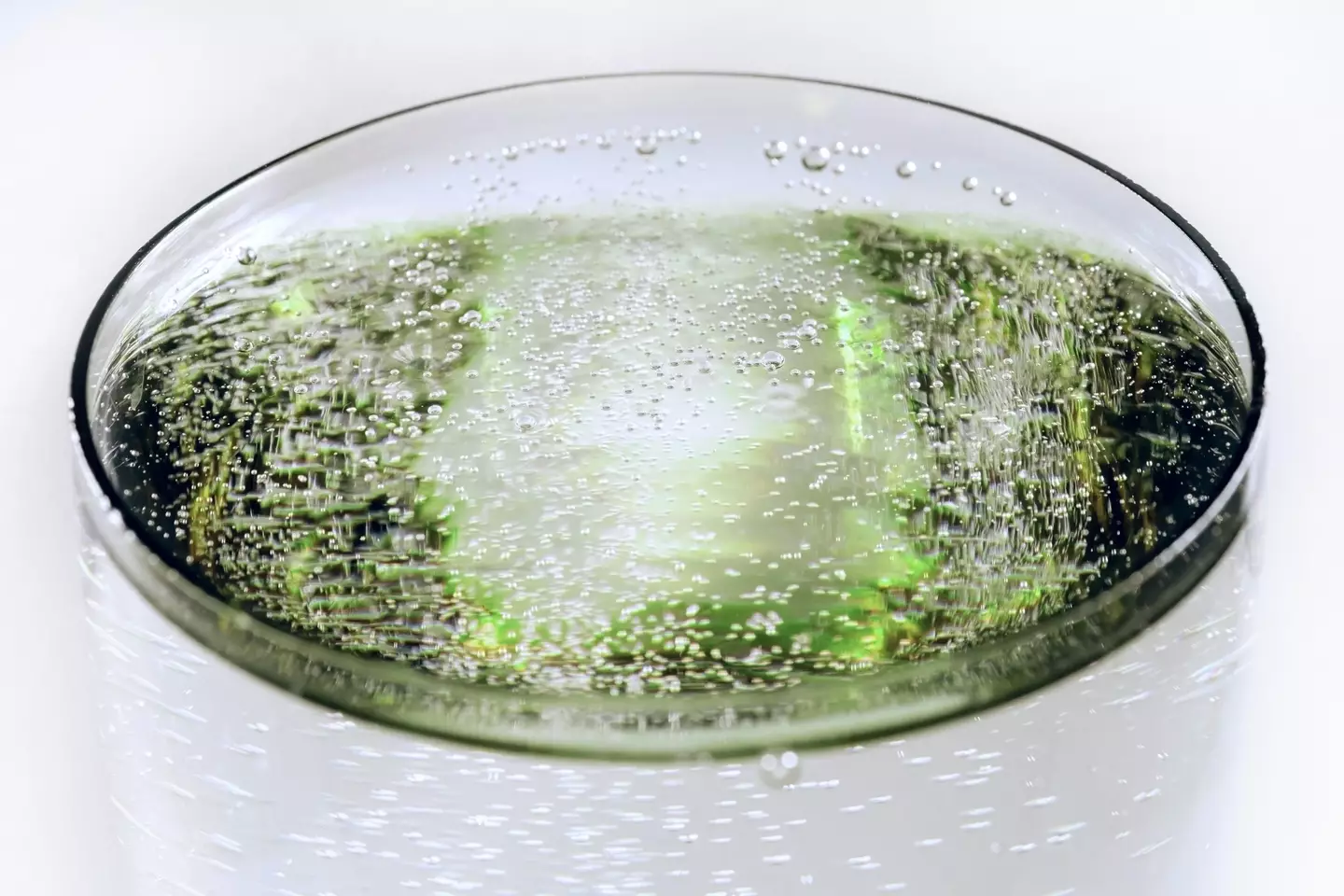 Jason Holt has complained he's not allowed fizzy drinks (stock image).