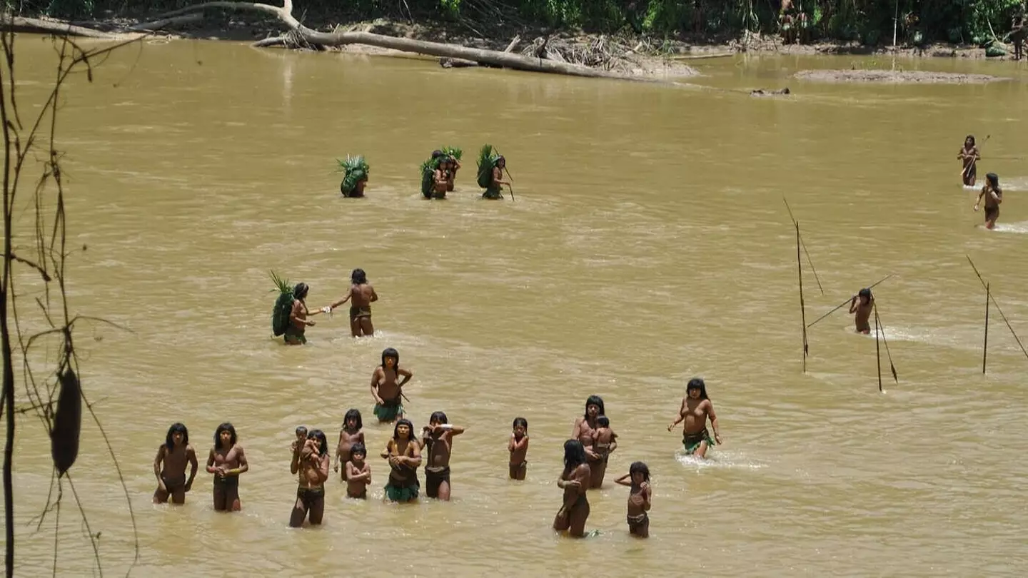 What could happen to uncontacted Amazon tribe after they make bizarre move amid expert warning