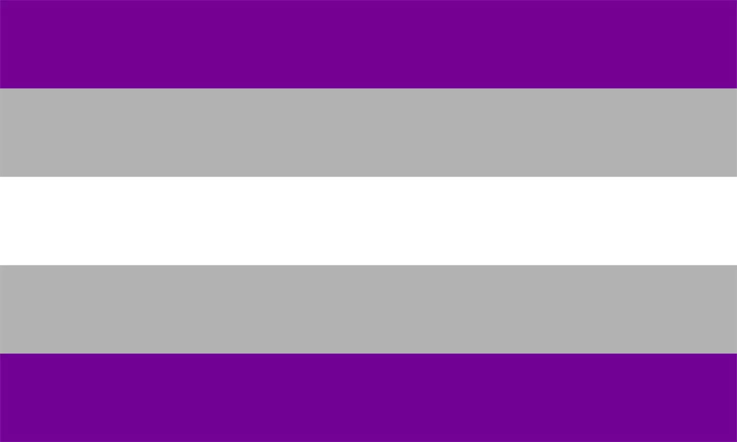 The graysexual pride flag (getty stock)