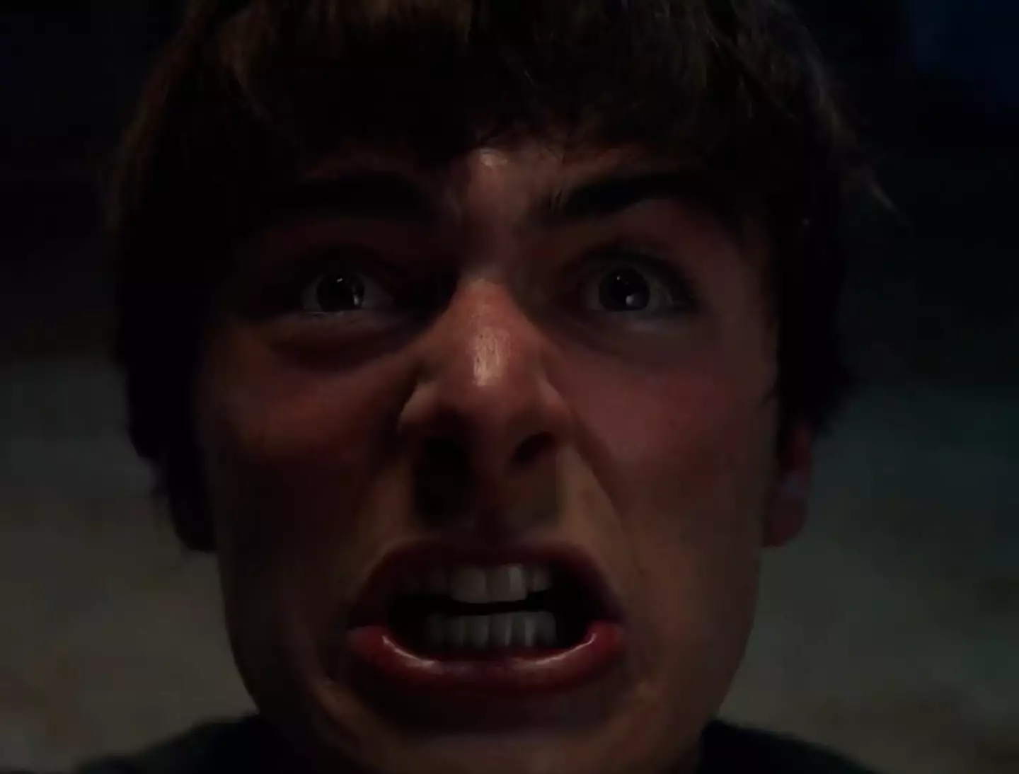 Will is amongst several members of the main cast to return (Netflix)