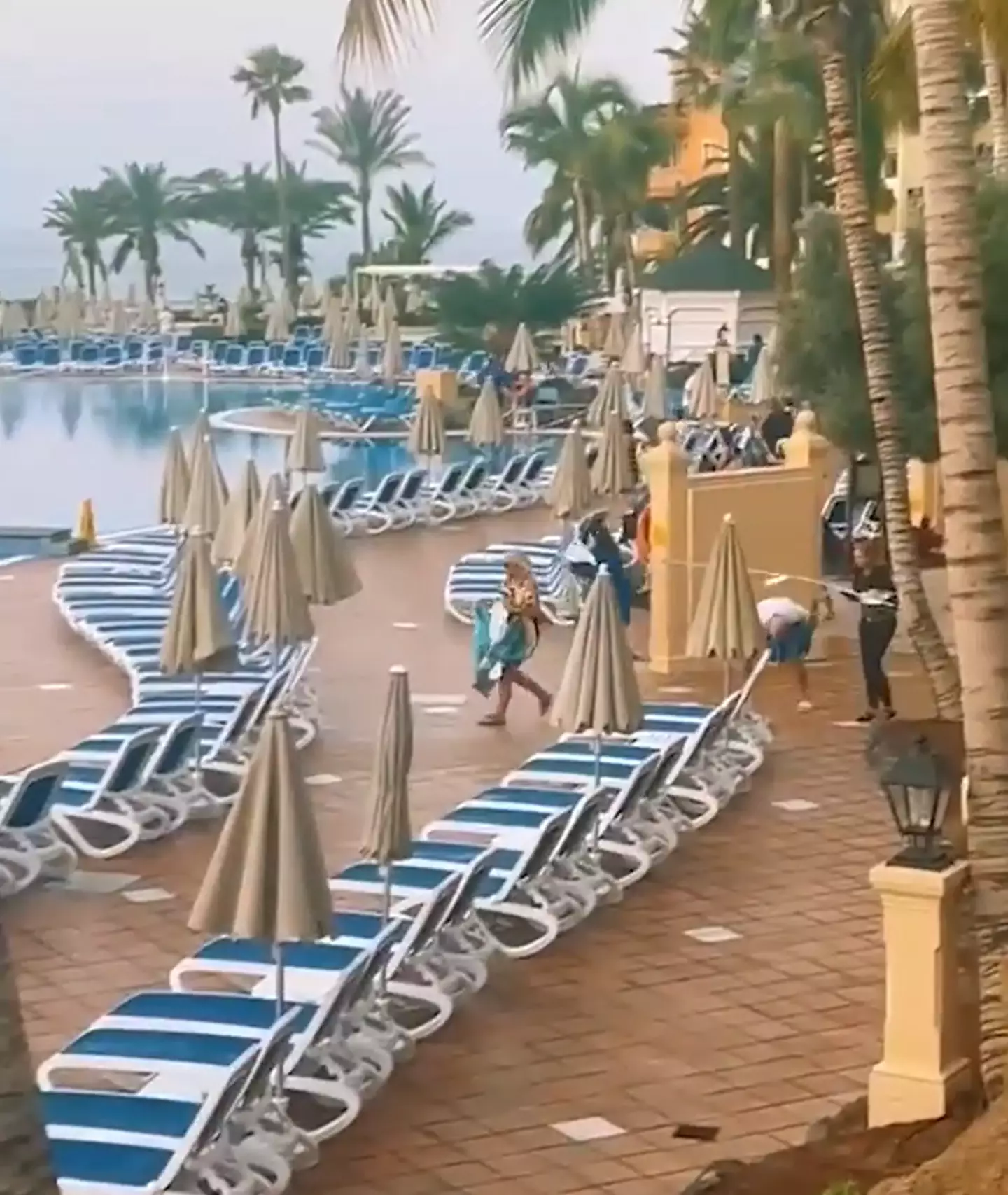 Holidaymakers began scrambling to get a precious lounger.