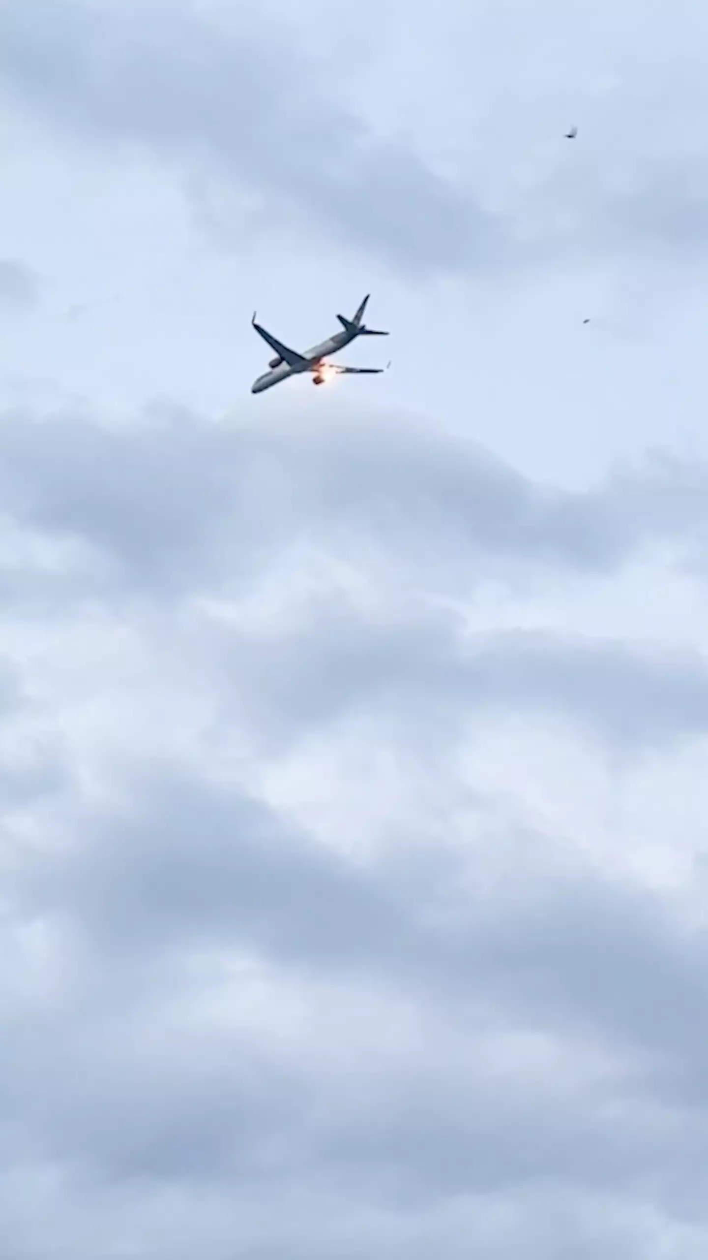 The plane's descent and emergency landing scared passengers (Viral Press)