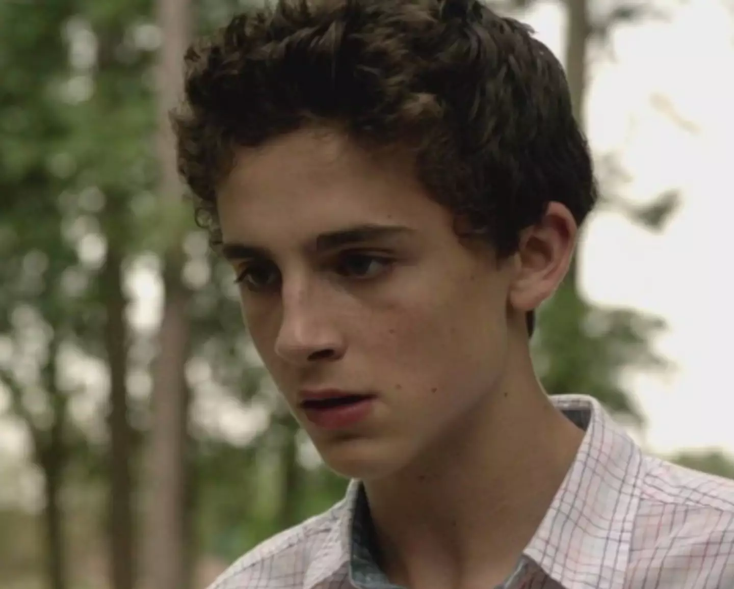 Timothee Chalamet made one of his first big acting appearances in the series.