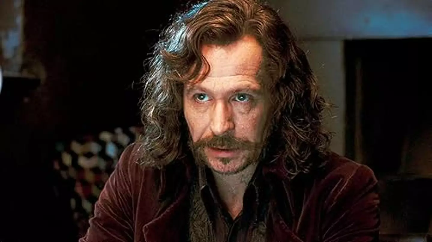 Oldman starred as Sirius in the films (Warner Brothers)